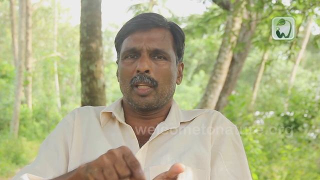 Corn disease a solution | Mohanan Vaidyar | Malayalam смотреть онлайн
