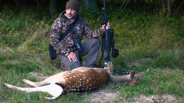 S&C TV | Mark Ripley 260RIPS tests the Zeiss DTC thermal clip-on смотреть онлайн