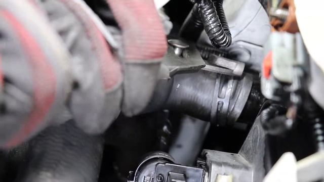 Chevy Sonic/Cruze 1.4L Turbo Upper Radiator Hose Replacement смотреть онлайн