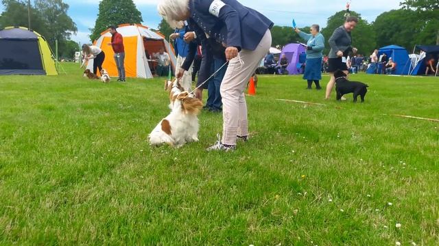 8 июня 2019 г. смотреть онлайн