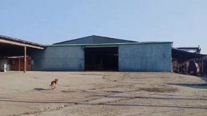 г.Апшеронск, ул.Королева 122а