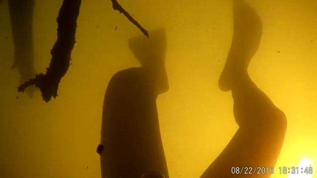 первый судак в 2016году смотреть онлайн