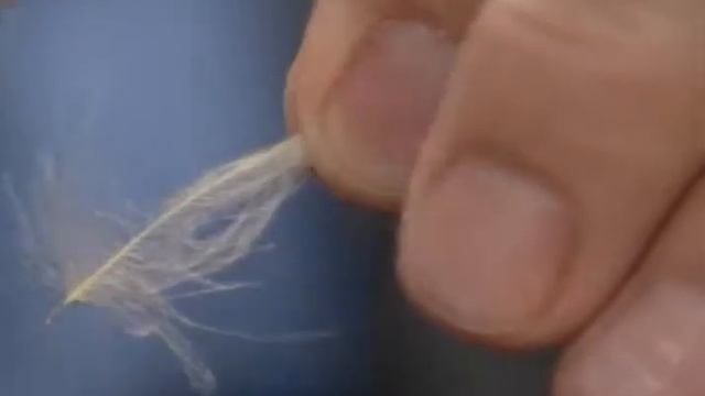 Rusty Spider Spey, Trico Floating Nymph, Gray Ghost Streamer by LeRoy Hyatt смотреть онлайн
