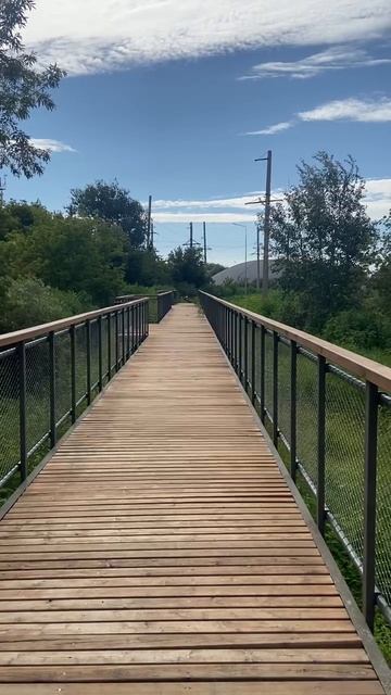 Красота смотреть онлайн