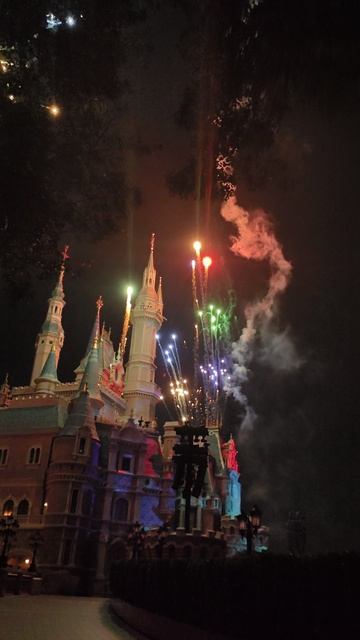 VID_20241104_201558.mp4