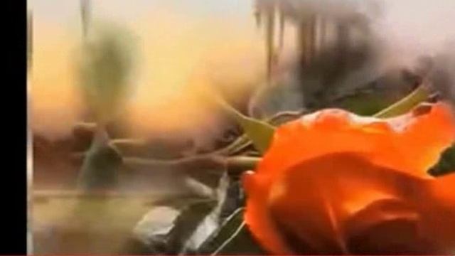 Забытые концерты ОП-25, Концерт 59, ВЛЮБЛЕННЫМ от ОП, муз. исп. Самуил Фрумович смотреть онлайн