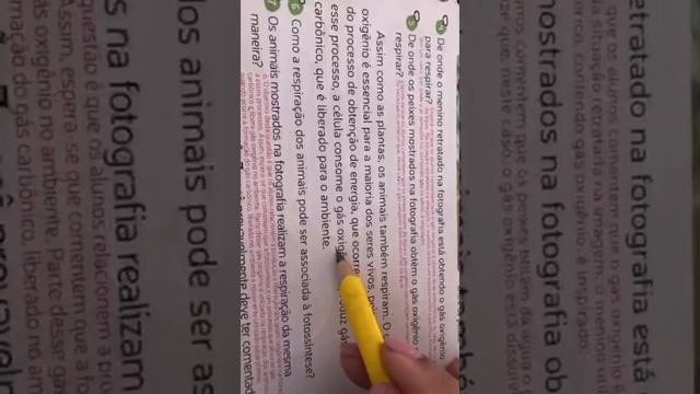 23/09 - 3º Ano Aula de Ciências смотреть онлайн