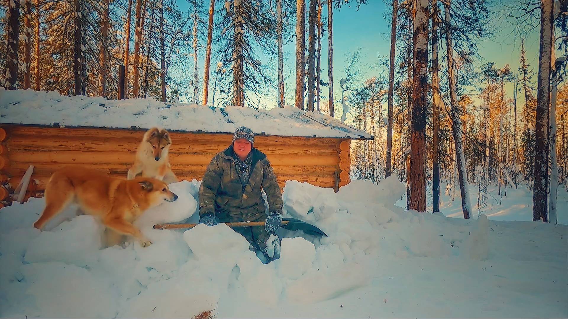 Изба сказала мне спасибо. Лосятина в Афганском казане. Уборка снега с крыши Лесной избы. смотреть онлайн