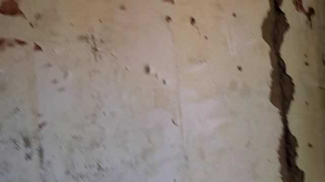 КУПИЛИ ДОМ НА ЮГЕ РАБОТА КИПИТ ЭЛЕКТРИКА ГОТОВА ОБЩИЛ СТЕНЫ В ГАРДЕРОБНОЙ смотреть онлайн