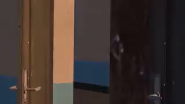 show do freddy #4, entrevista com candy! смотреть онлайн