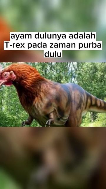 macam macam evolusi pada hewan purba,orang utan ternyata 🗿 #shorts #hewanpurba #fyp смотреть онлайн