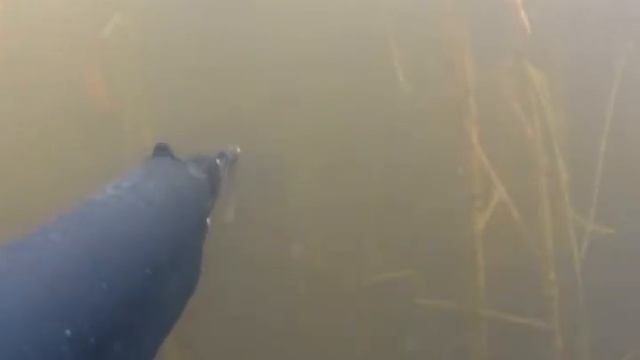 Охота на карпа (часть 2) смотреть онлайн