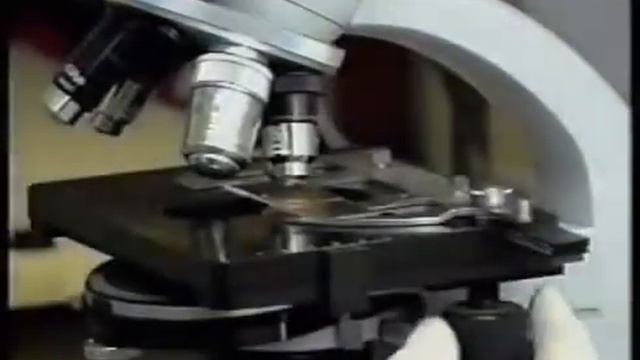 Болезни аквариумных рыб смотреть онлайн