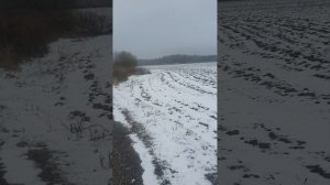 едем на охоту на лошадях по старым тропам,заяцов,волков,лис