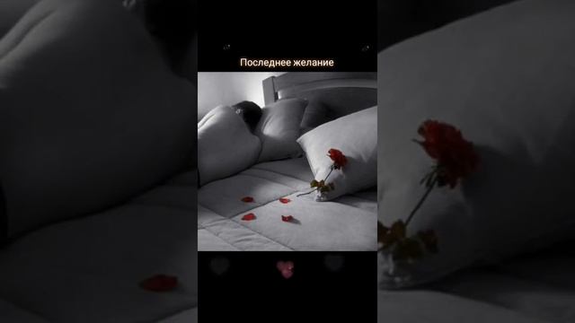 Последнее желание Автор и исполнитель: Владимир Курочкин смотреть онлайн