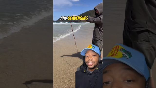 I Studied a 10ft FLESH EATING Worm 🪱 смотреть онлайн