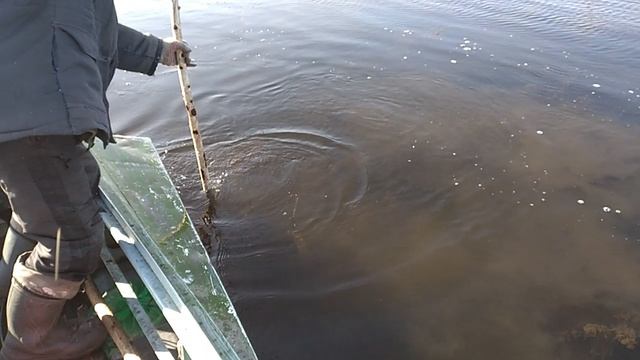рыбалка.mp4 смотреть онлайн