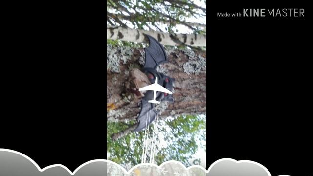 Друг хомяка смотреть онлайн