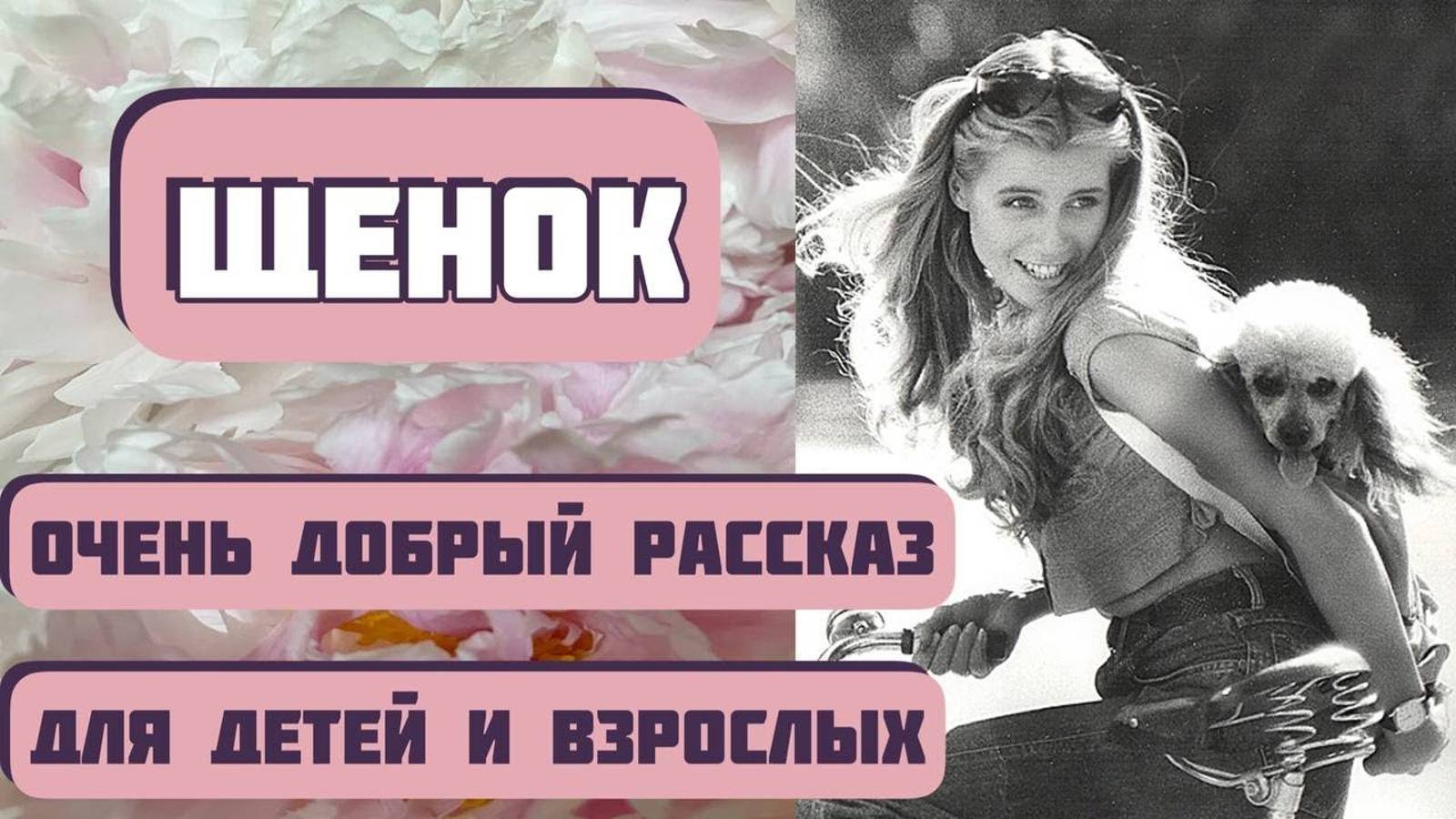 Щенок, или Очень важный поступок. Автор Николай Агафонов,читает Светлана Копылова.Интересная история смотреть онлайн