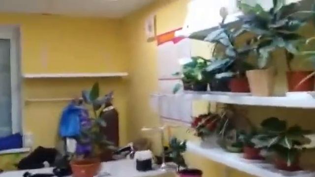 Май 2020 года. Кризис. Оптика закрыта, в цветочном магазине цветы засохли. Блог Retail-Realty смотреть онлайн