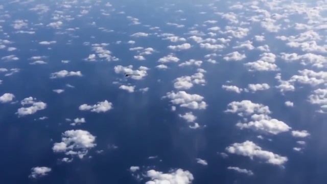 video_10182788381.mp4 смотреть онлайн