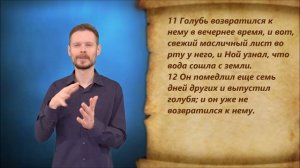 Бытие 8 глава