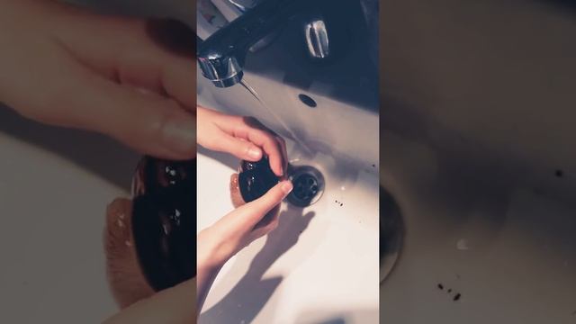 Как мыть улиток Ахатина?(Anna loves snails 😍) смотреть онлайн