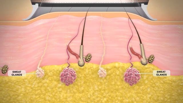 Miradry Video смотреть онлайн