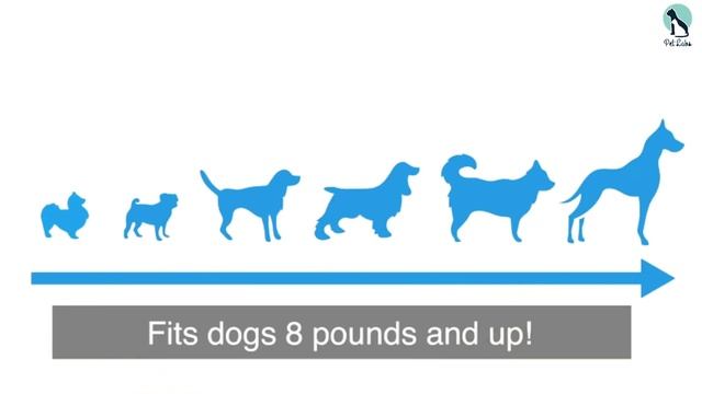 ✅Top 5 Best Citronella Bark Collars in 2024 смотреть онлайн