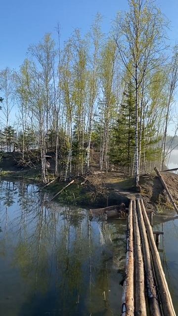 Остров хищников смотреть онлайн