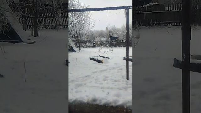 деревенские будни