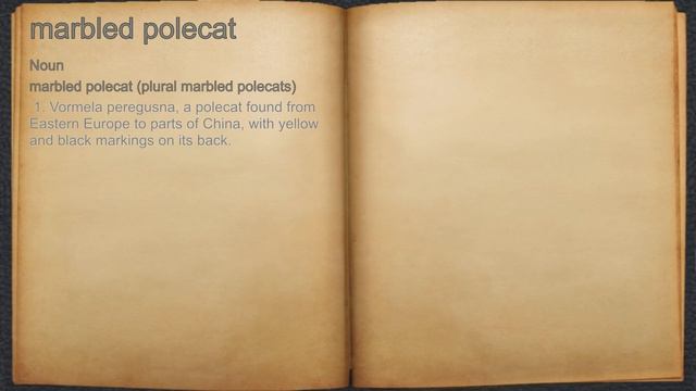 What does marbled polecat mean? смотреть онлайн