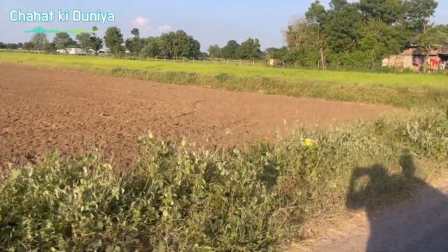 મમ્મી કહે ગૂગલ પે એટલે શું ?📱😀 | dabhoda hanuman mandir | family vlog | @chahatkiduniya смотреть онлайн