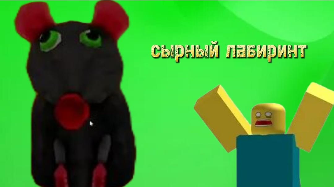 прохожу сырный лабиринт 🤑🤑
