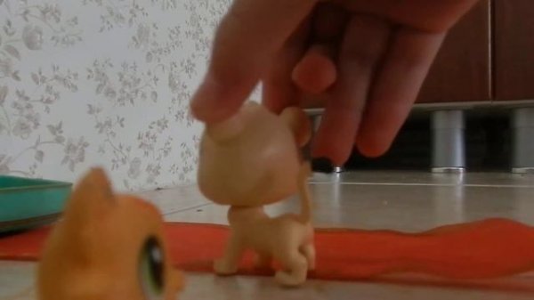 Королевство литл пет шоп 1 серия