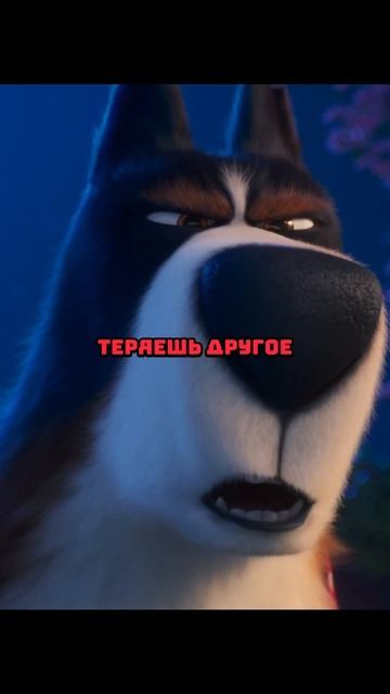 Это миска петуха! 🐓 #film #фильм #shorts смотреть онлайн