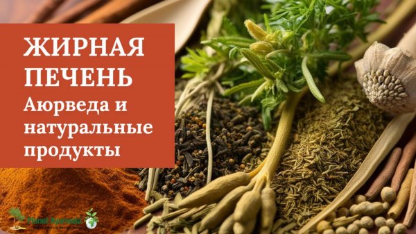 Аюрведа для печени: Как избавиться от жирной печени и восстановить здоровье?