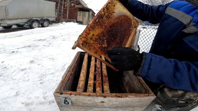 Зимнее объединение семей смотреть онлайн