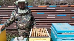 Расширение Пчелосемей без последствий!!!