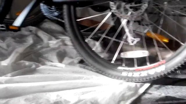 Хорек и котенок играют в квартире смотреть онлайн