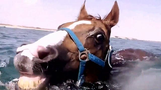 Рок Острова - Рыжий Остров