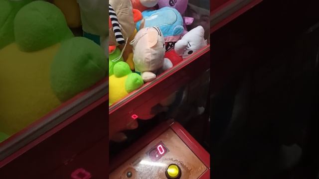 Очень хочется поймать котика...🤭 смотреть онлайн
