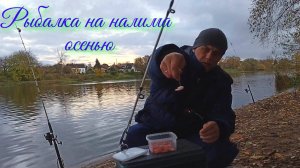 ЛОВЛЯ НАЛИМА НА ДОНКИ | ОСНАСТКА | КАК ПРАВИЛЬНО НАСАЖИВАТЬ ЖИВЦА