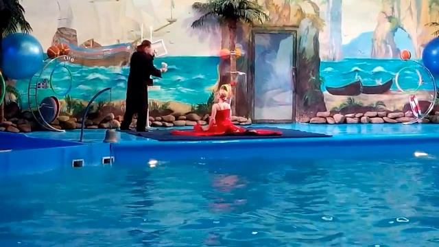 Представление в дельфинарий часть 2 Киев смотреть онлайн