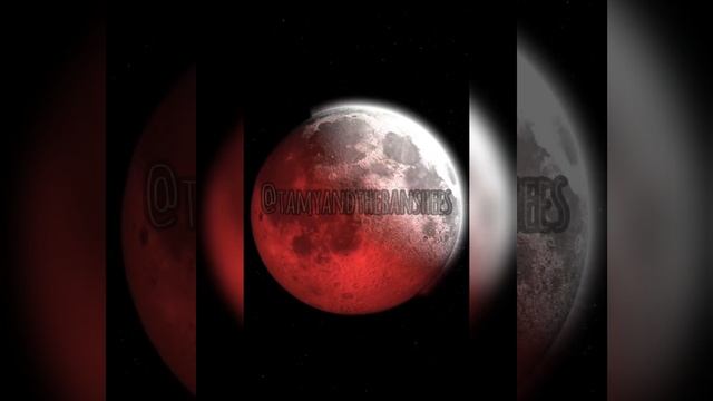 Eclipse - Kirlian Camera (vocal cover) смотреть онлайн