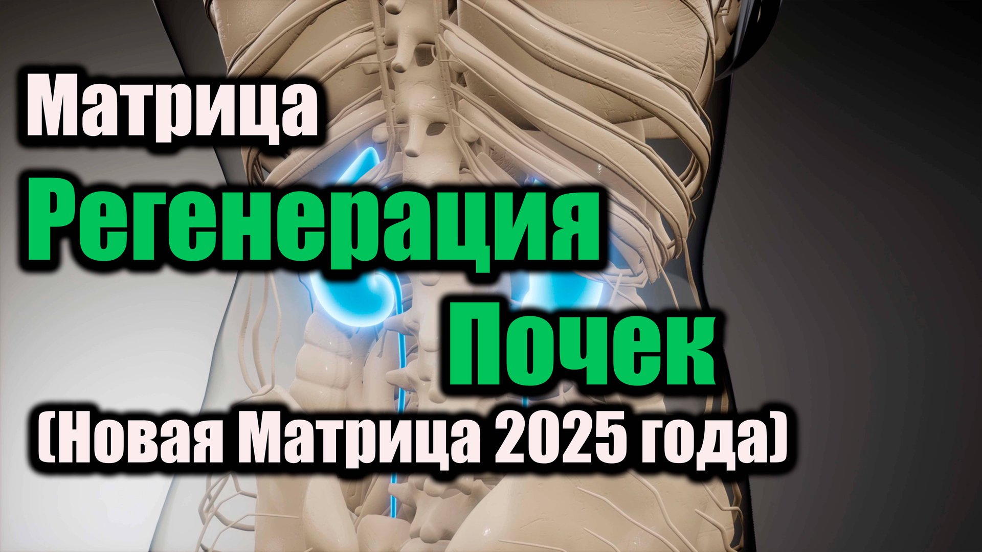 Матрица " "Регенерация Почек"" 🌱✨ (Новые Матрицы 2025 года) смотреть онлайн