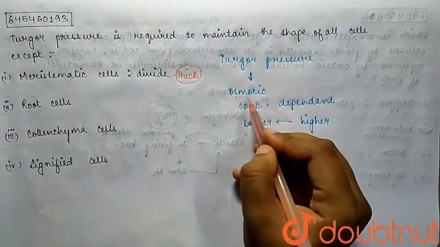 Turgor pressure is required to maintain the shape of all cells except: | CLASS 11 | Mock Test 1 ... смотреть онлайн