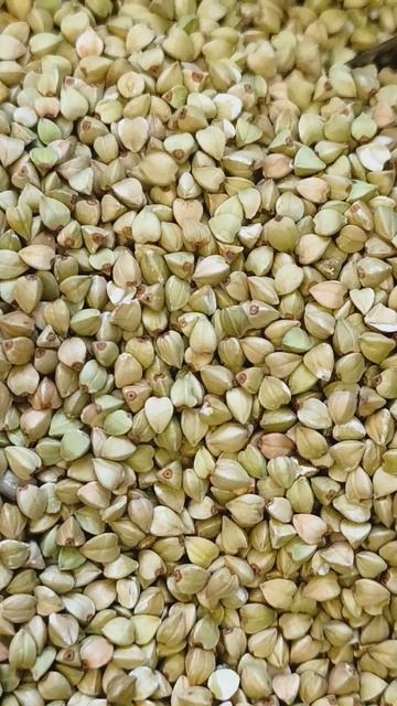 Гречка зеленая для проращивания