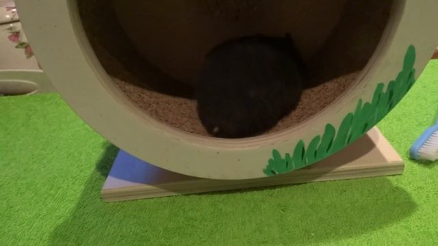 Риана смотреть онлайн