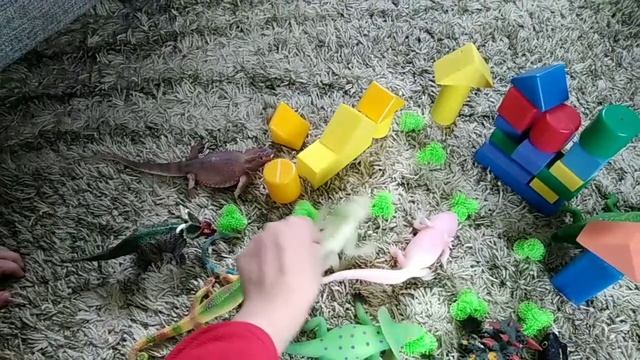 Мультики про животных, ящериц . смотреть онлайн